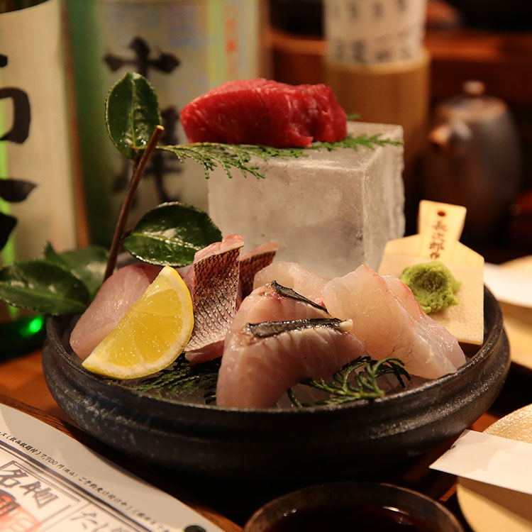 魚